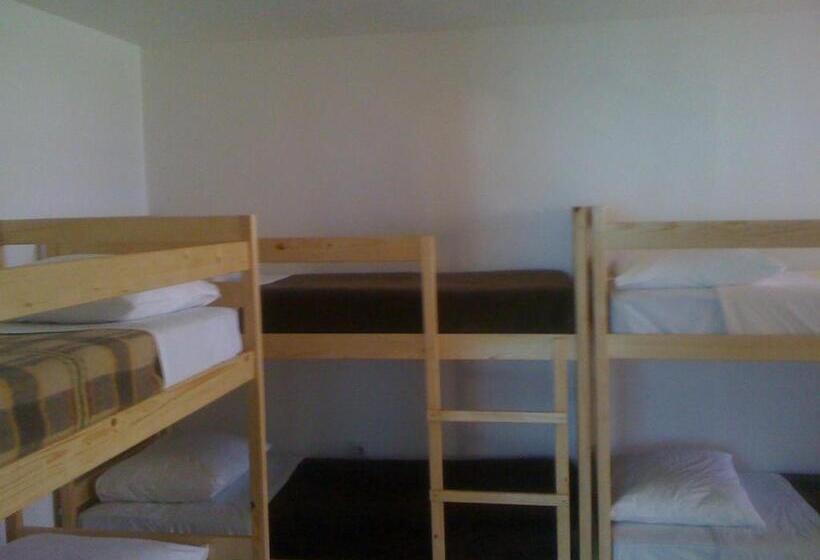 تختخواب در اتاق مشترک, Hostel Amfora