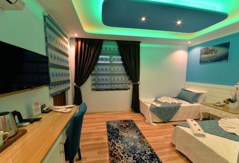 Номер Стандарт, Kayı