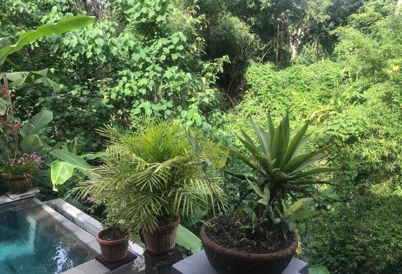 Номер Superior, Suastika Guest House Ubud