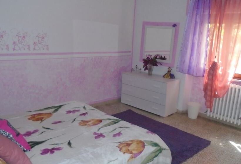 اتاق استاندارد با سرویس بهداشتی مشترک, Tropical B&b