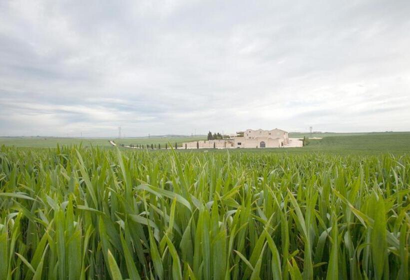 اتاق لوکس, Tenuta Danesi