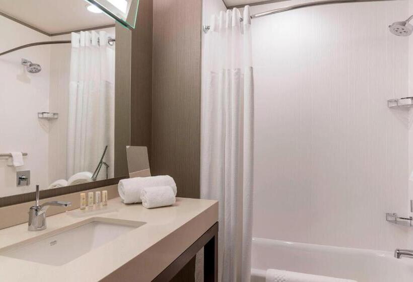 适合残疾人使用的标准间, Courtyard By Marriott Waterloo Cedar Falls