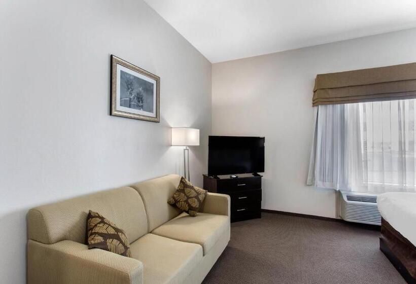 带大床的套房, Sleep Inn Big Spring North I 20
