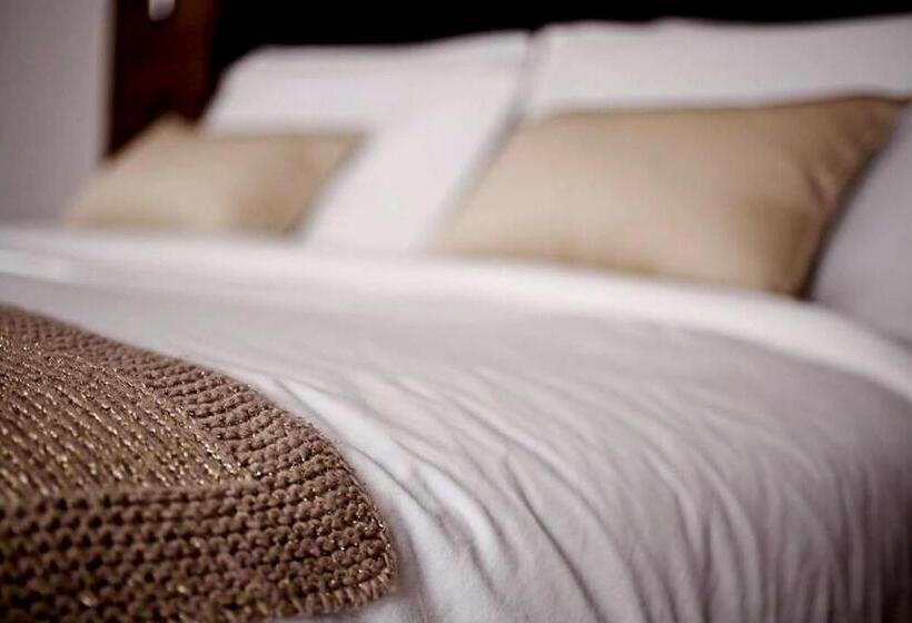 标准间, Le Zenith Hotel Oran