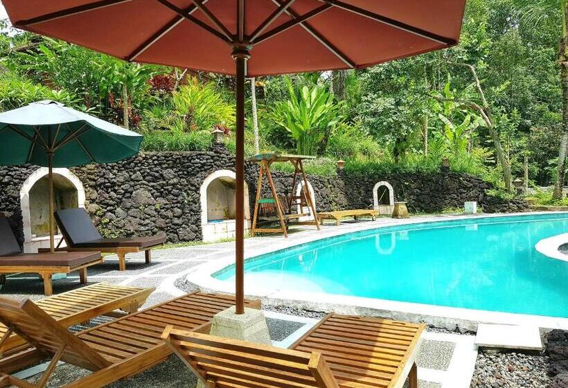 디럭스 스튜디오, Song Broek Bali