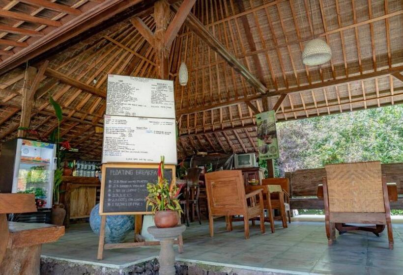 디럭스 스튜디오, Song Broek Bali