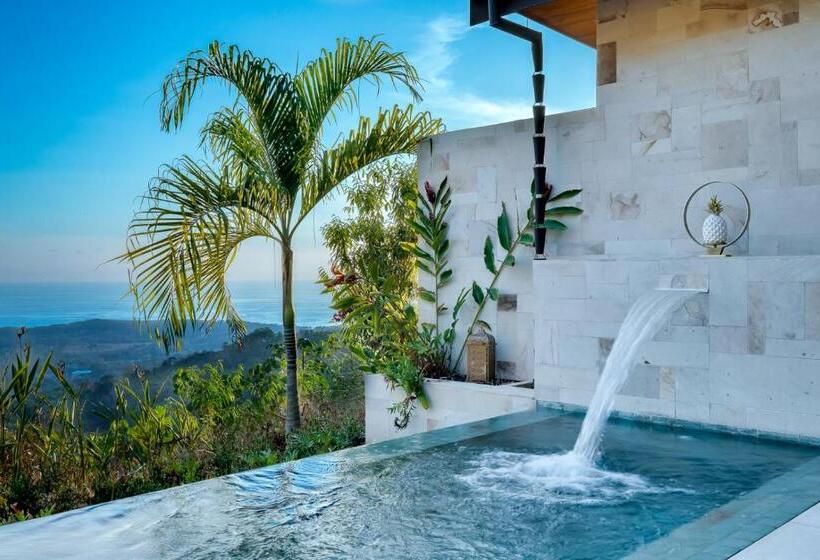 전용 풀장 주니어 스위트, Golden Pineapple Villas Adults Only