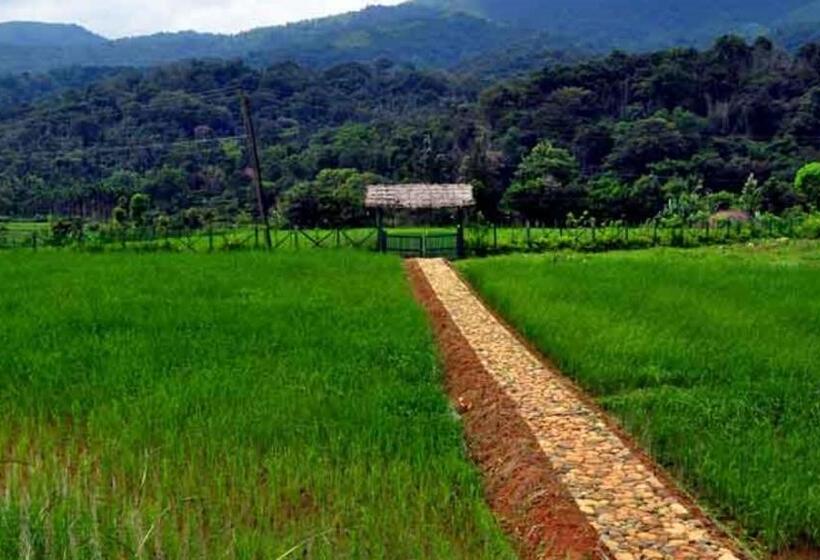 Номер Стандарт, Koomankolly Resort