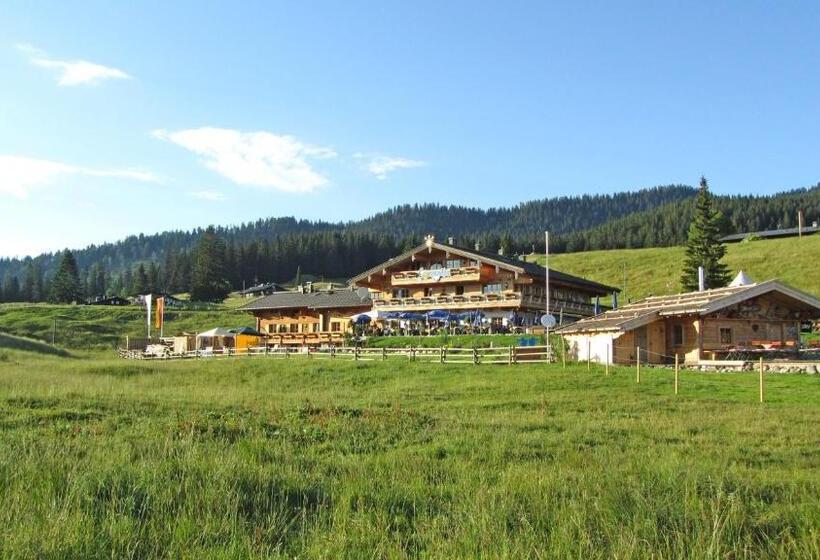 اتاق استاندارد, Winklmoos Sonnenalm