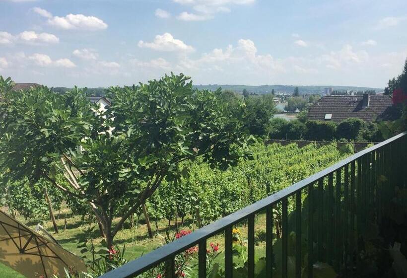 Семейный Номер, Bed And Breakfast   Rheingauer Hof