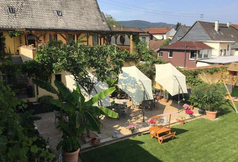 Номер Стандарт Совместная Ванная, Bed And Breakfast   Rheingauer Hof