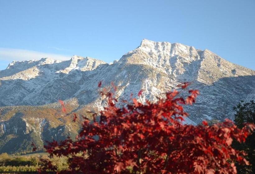 Номер Basic, Al Brenta