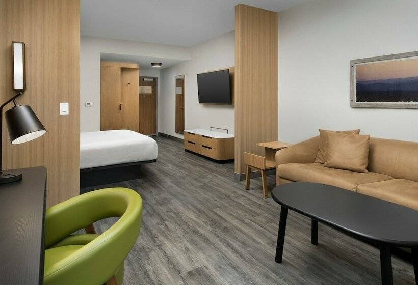 Люкс, Fairfield Inn & Suites By Marriott Gainesville I 75