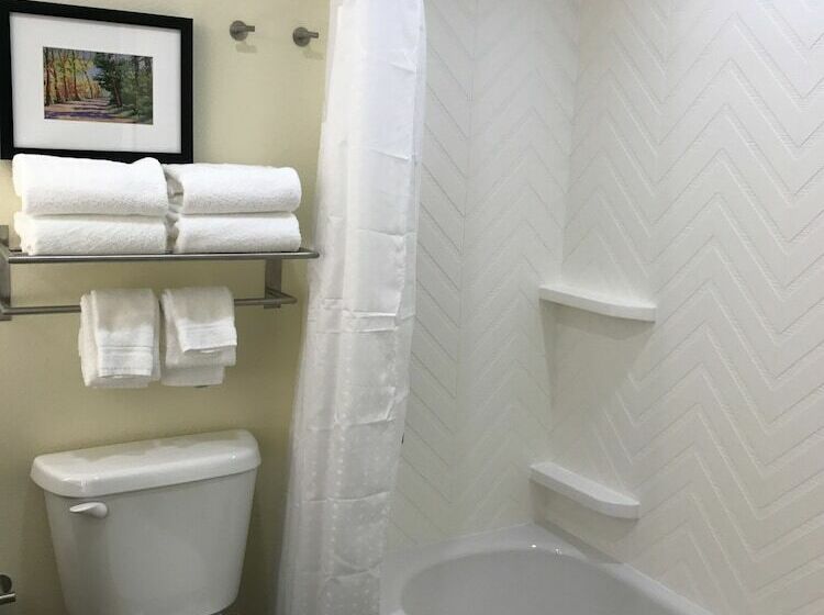 Номер Стандарт, Holiday Inn & Suites Arden   Asheville Airport, An Ihg