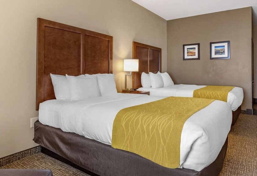 Люкс, Comfort Inn & Suites