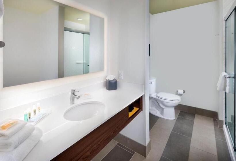 Люкс Кровать Кинг, Holiday Inn & Suites Arden   Asheville Airport, An Ihg