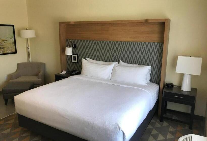 Номер Стандарт Кровать Кинг Адаптированный для Инвалидов, Holiday Inn & Suites Arden   Asheville Airport, An Ihg