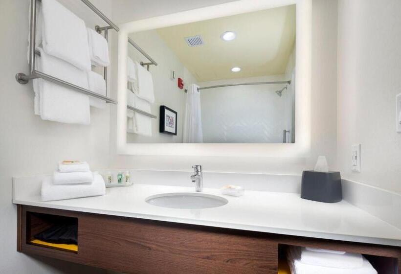 Номер Стандарт Адаптированный для Инвалидов, Holiday Inn & Suites Arden   Asheville Airport, An Ihg