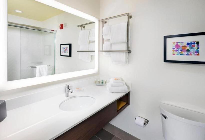 Стандартный Номер Кровать Кинг, Holiday Inn & Suites Arden   Asheville Airport, An Ihg