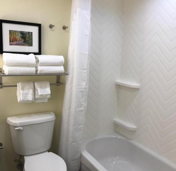 Стандартный Номер Кровать Кинг, Holiday Inn & Suites Arden   Asheville Airport, An Ihg