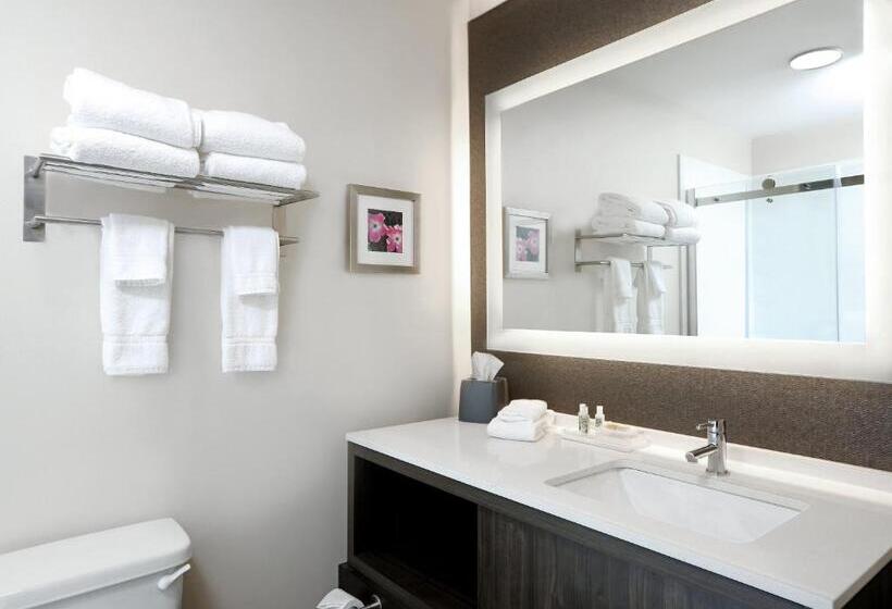 キングサイズベッドのデラックスルーム, Holiday Inn & Suites Sioux Falls   Airport, An Ihg