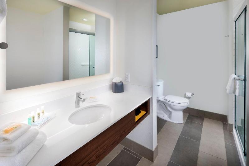 Люкс Кровать Кинг, Holiday Inn & Suites Arden   Asheville Airport, An Ihg