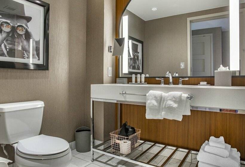 اتاق دلوکس مخصوص معلولین, Omni Louisville