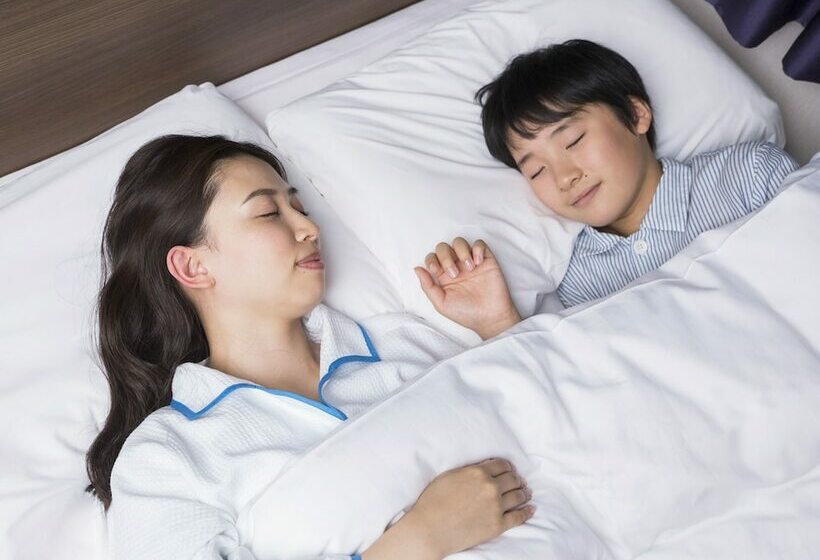 スタンダードルーム, Comfort Hotel Sapporo Susukino