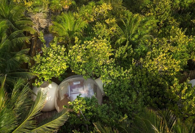 Standard Tent, Astral Tulum