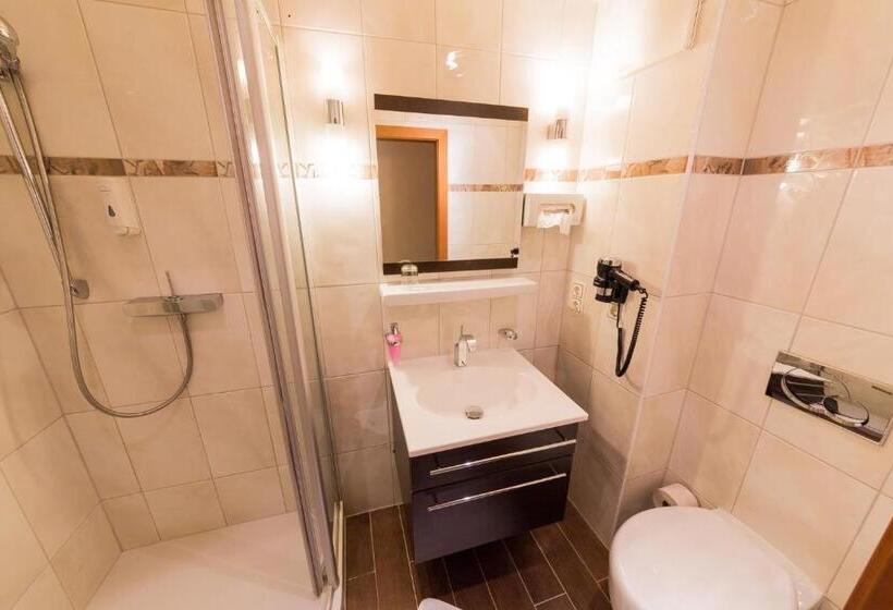Номер Стандарт Индивидуальный, Ambiance Hotel   Braunau   Simbach