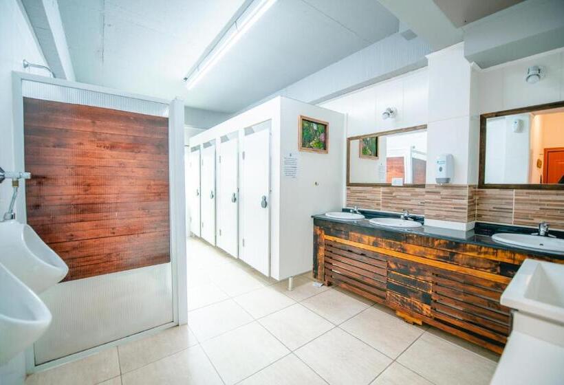 Standard Szoba Megosztott Fürdővel, Oshovia Hostel