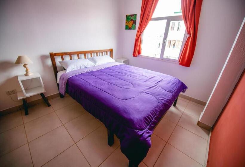 Quarto Estandar Banheiro Compartilhado, Oshovia Hostel