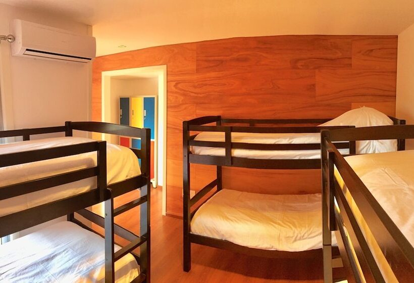 Кровать в Общей Комнате, Circus Hostel&hotel Montevideo