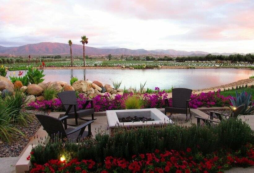 スタンダードルーム, El Cielo Resort