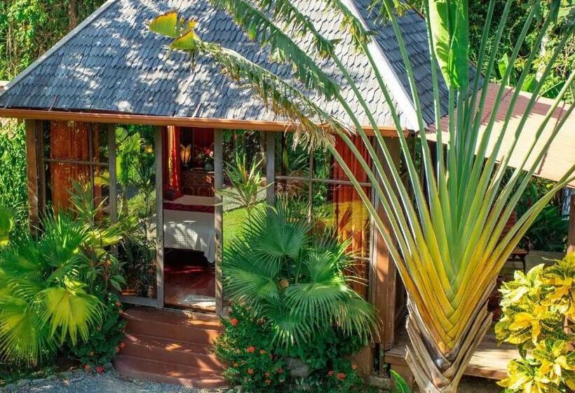 Номер Стандарт Вид на Море, Anamaya Resort
