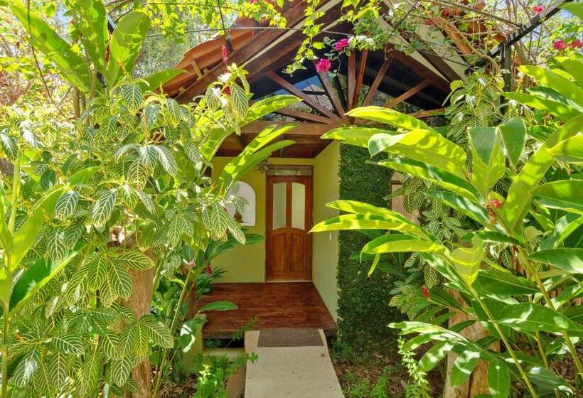 Номер Deluxe с Балконом, Anamaya Resort