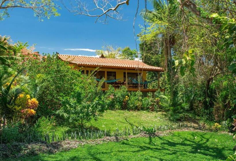 إستديو قياسى مزود بشرفة, Anamaya Resort