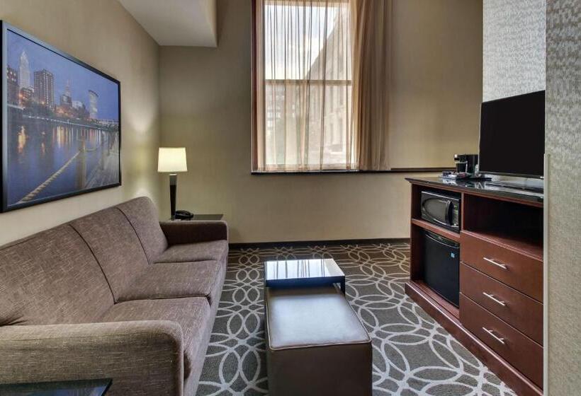 디럭스 스위트 킹 침대, Drury Plaza Hotel Cleveland Downtown