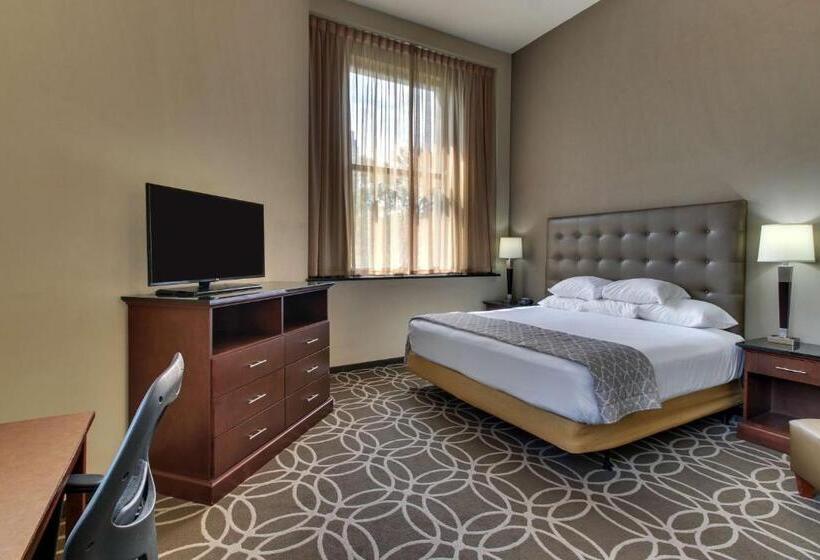 스탠다드 스튜디오 킹침대, Drury Plaza Hotel Cleveland Downtown