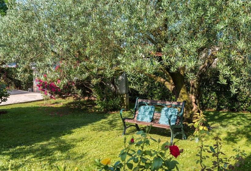 اتاق استاندارد, B&b Carmela
