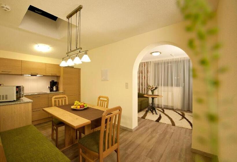 침실 2개 아파트, Alp Resort Tiroler Adler