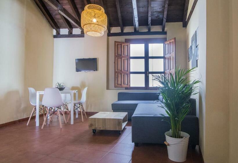 آپارتمان 1 خوابه, Apartamentos Nahira Suites 3000