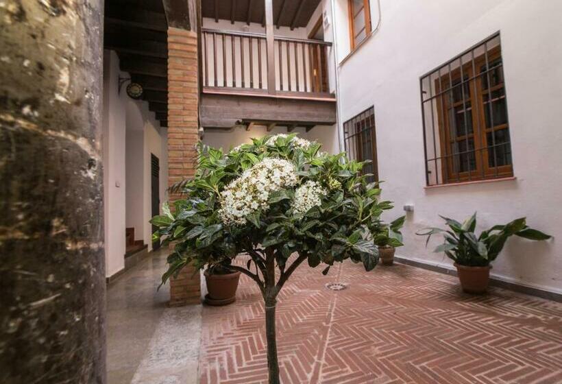 آپارتمان 1 خوابه, Apartamentos Nahira Suites 3000