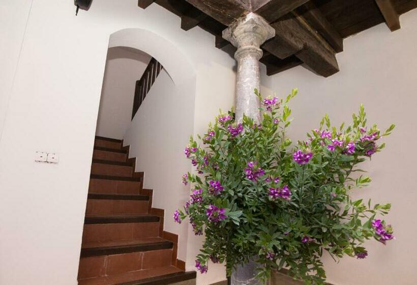 آپارتمان 2 خوابه, Apartamentos Nahira Suites 3000