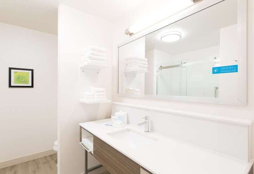 스탠다드 룸, Hampton Inn & Suites Mount Laurel/moorestown