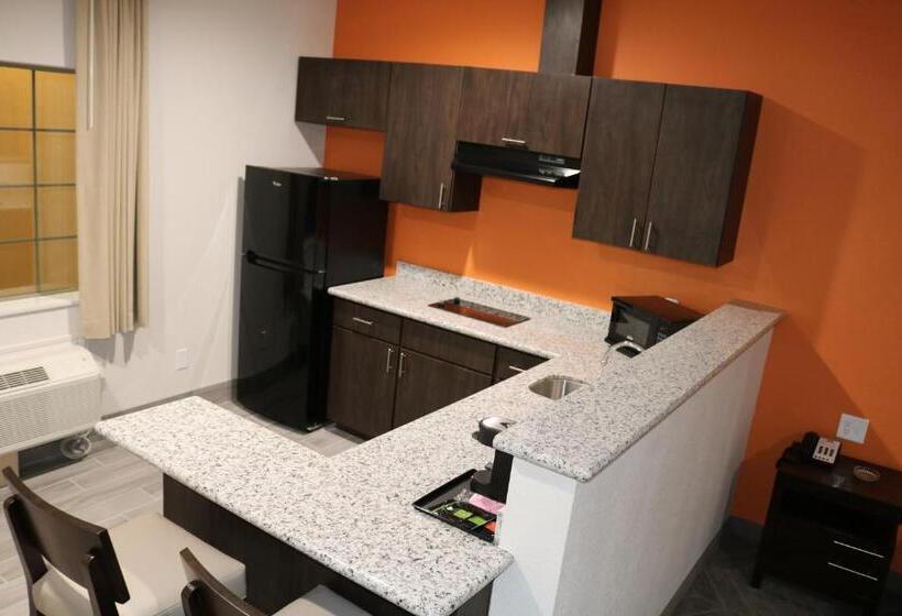 סטודיו דלוקס, Scottish Inn & Suites  Iah Airport