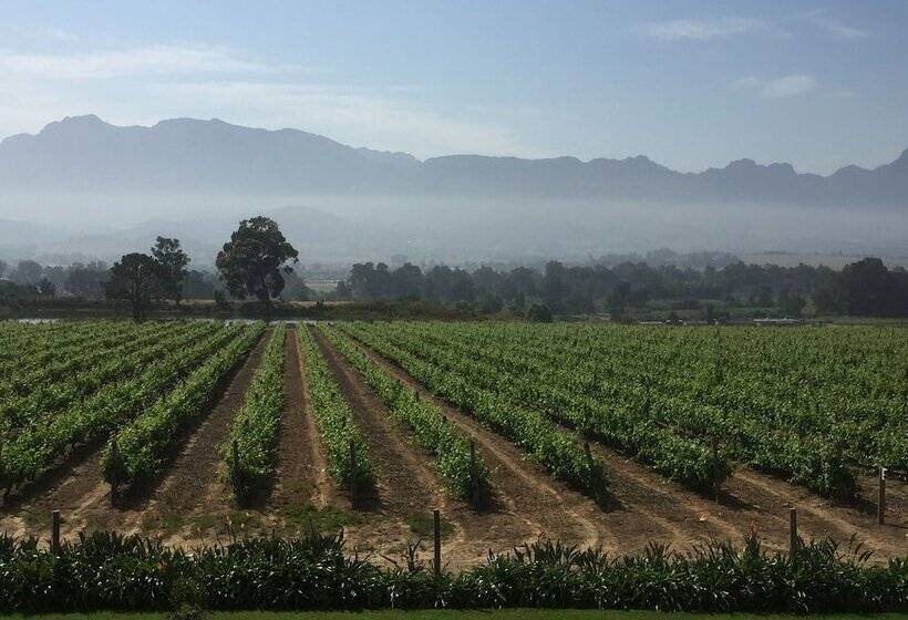 Номер Стандарт, Cana Vineyard Guesthouse