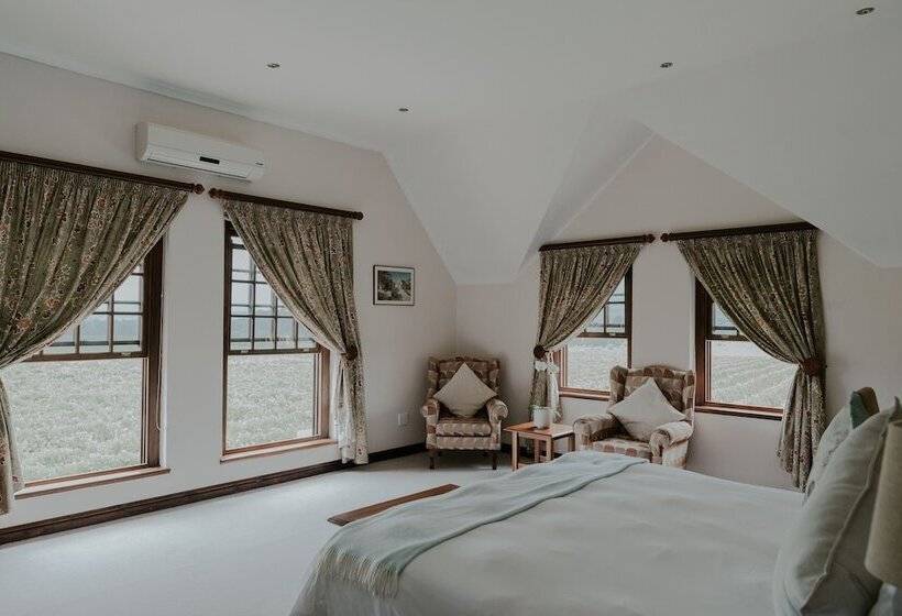 Номер Deluxe, Cana Vineyard Guesthouse