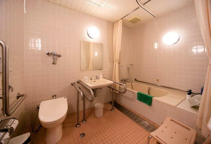 Номер Стандарт Адаптированный для Инвалидов, Kamenoi Hotel Kochi
