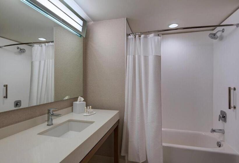 스탠다드 룸, Courtyard By Marriott Jackson Madison